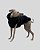 COLETE DE GALGO ASPEN PRETO - sob encomenda - Imagem 6