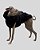 COLETE DE GALGO ASPEN PRETO - sob encomenda - Imagem 9