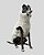 COLETE DE GALGO ASPEN BEGE- sob encomenda - Imagem 7