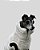 COLETE DE GALGO ASPEN BEGE- sob encomenda - Imagem 4