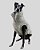 COLETE DE GALGO ASPEN BEGE- sob encomenda - Imagem 12
