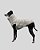 COLETE DE GALGO ASPEN BEGE- sob encomenda - Imagem 1