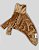 BLUSA DE GALGO BANFF BROWN - Imagem 1