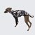CACHARREL DE GALGO ITALIANO UV CINZA FOLHAS - Imagem 3