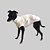COLETE DE GALGO ITALIANO MOLETOM OFF WHITE - Imagem 1