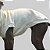 COLETE DE GALGO ITALIANO MOLETINHO OFF PONTINHOS - Imagem 3