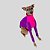 CACHARREL DE GALGO ITALIANO UV ROXO E PINK - Imagem 1