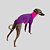 CACHARREL DE GALGO ITALIANO UV ROXO E PINK - Imagem 3