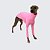 CACHARREL DE GALGO ITALIANO UV CHICLETE - Imagem 2