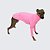 CACHARREL DE GALGO ITALIANO UV CHICLETE - Imagem 1