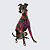 CACHARREL DE GALGO ITALIANO UV GEO COLOR - Imagem 2