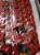 Corrente Did 520x120 Zb Vpk Vermelho Com Retentor - Imagem 2