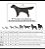 Roupa Pet Adidog - Imagem 5