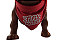 Coleira Com Bandana Pet Natal - Imagem 1