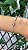 Pulseira Shambala Búzios - Imagem 2