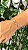 Pulseira Shambala Conchas - Imagem 1
