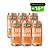Blood Orange – IPA – 6 latas - Imagem 1