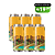 Newbie - New England IPA – 6 latas - Imagem 1