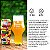 Ipa Lover – Uma de cada - 14 Latas - Imagem 14