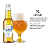 Cervejas Fit + Lite IPA – 14 Latas - Imagem 7