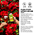 Low Cost High Flavour - 19 Latas - Imagem 11