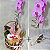 Cesta Orquídea Charmosa com Vinho e Ferrero  Cod 120 - Imagem 1