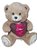 Urso Pelúcia 50 cm  com coração - Imagem 1