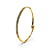 Bracelete Rígido Prestige - Imagem 1