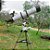 Telescópio Refrator 120/900mm Aries 2 Potência Ampliação Observação Astros Lentes Acessórios Explorar Céu Universo Uranum - Imagem 7