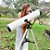 Telescópio Refletor 76/700mm Montagem Azimutal Facil Lira Ampliação Alta Observação Astronômica Luas Planeta Lentes Opticas Qualidade Uranum - Imagem 2