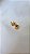 Piercing Fake Liso Largo - Banhada a Ouro 18K - Semijoia - Imagem 7