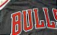 Camisas de Basquete Retrô Chicago Bulls Hardwood Classics M&N - Pippen 33, Rodman 91 - Imagem 9