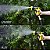 Esguicho Pistola Para Mangueira 6 e 8 Jatos Com Engate Idea - Imagem 7
