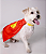 Coleira Krypto com Capa e Pingente - M - Imagem 3