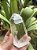 Cristal Lemuriano Cristal Mestre - Imagem 1