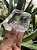 Quartzo Cristal Forma Livre - Imagem 3