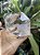 Quartzo Cristal Cristal Hialino - Imagem 1