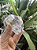 Quartzo Hialino Cristal transparente - Imagem 4