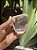 Cristal Transparente com Fantasma - Imagem 4