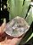 Cristal Transparente Lapidado - Imagem 1