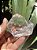 Cristal Transparente Lapidado - Imagem 2