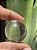 Bola de Cristal Transparente - Imagem 2