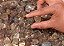 KIt Pedra Rolada MIx de Pedra xamã e rutilo 200 g - Imagem 1
