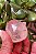Cristal Rutilado - Imagem 2