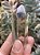Ponta de Cristal Fume com Phantom - Imagem 1