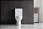 Vaso Sanitário Confort Fit - Caixa Acoplada - Imagem 4