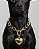 Colar para Cachorro com Pingente - CORAÇÃO  DOURADO - Imagem 1