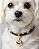 Colar para Cachorro com Pingente - CORAÇÃO DOURADO 2 - Imagem 1