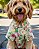 COCONUT - Camisa de Cachorro - Imagem 1