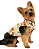 Roupa Pet Camisa de Cachorro - REGATA CAVEIRA TROPICAL - Imagem 2